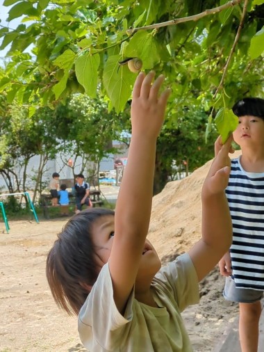 PXL_20240621_023657567.TS_exported_970_Original