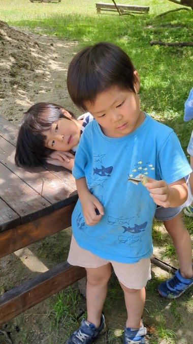 PXL_20240621_023847639.TS_exported_937_Original