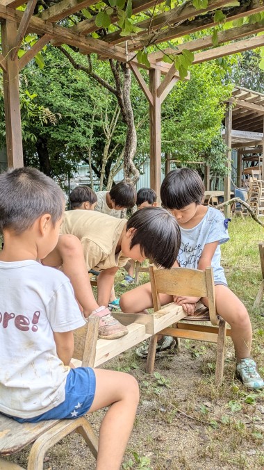 PXL_20240621_030042741_Original