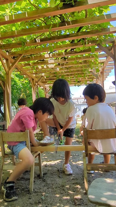 PXL_20240621_031429138.TS_exported_3114_Original