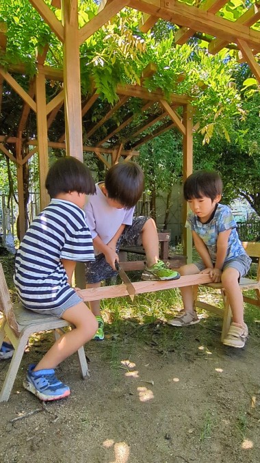 PXL_20240621_031608065.TS_exported_0_Original